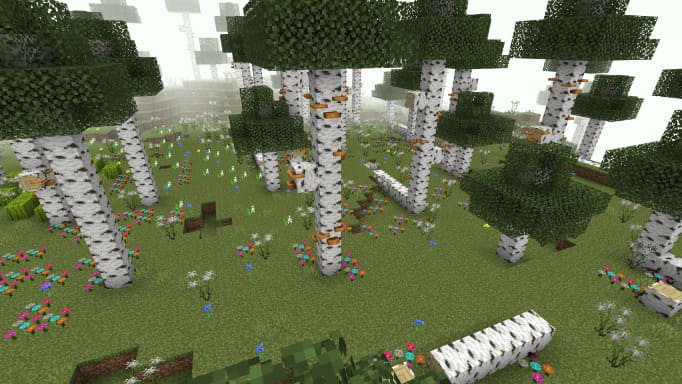New birch forest in Minecraft