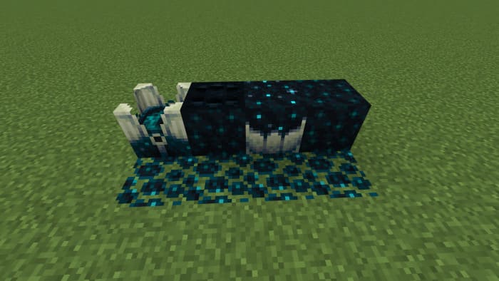 New types of blocks from Sculk