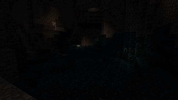 Darkness in the deep dark biome