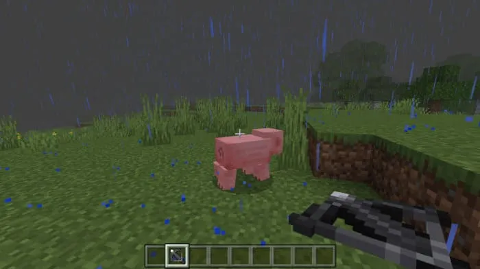 Iron crossbow and pig