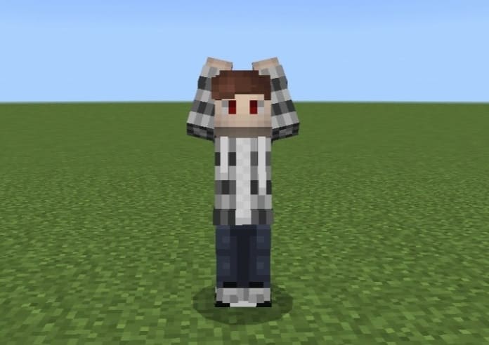 Emotecraft         minecraft  shorts - YouTube