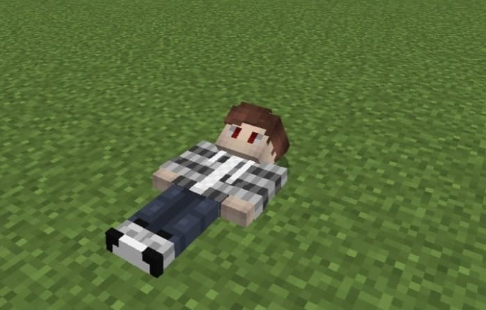 The player is in Minecraft