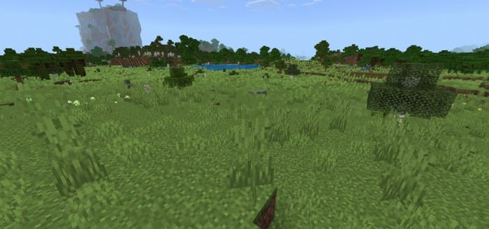 More grass in the Minecraft world