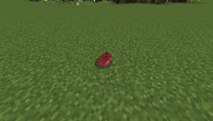 Heart in Minecraft