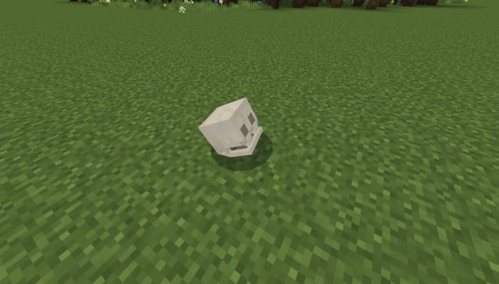 Skull in Minecraft