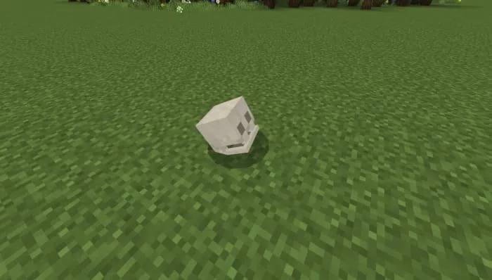 Skull in Minecraft