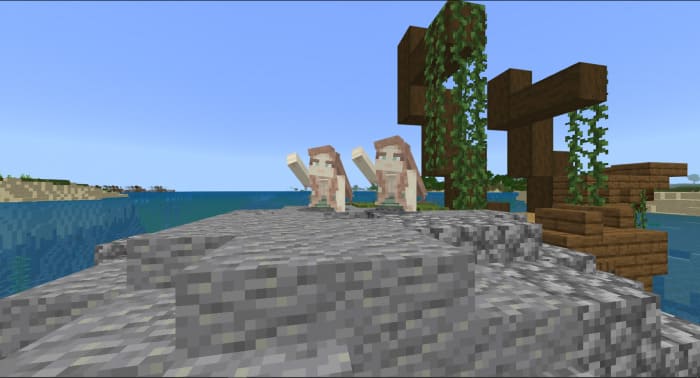 Mermaid view in Minecraft