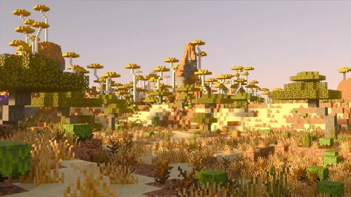 Sandy Savanna biome