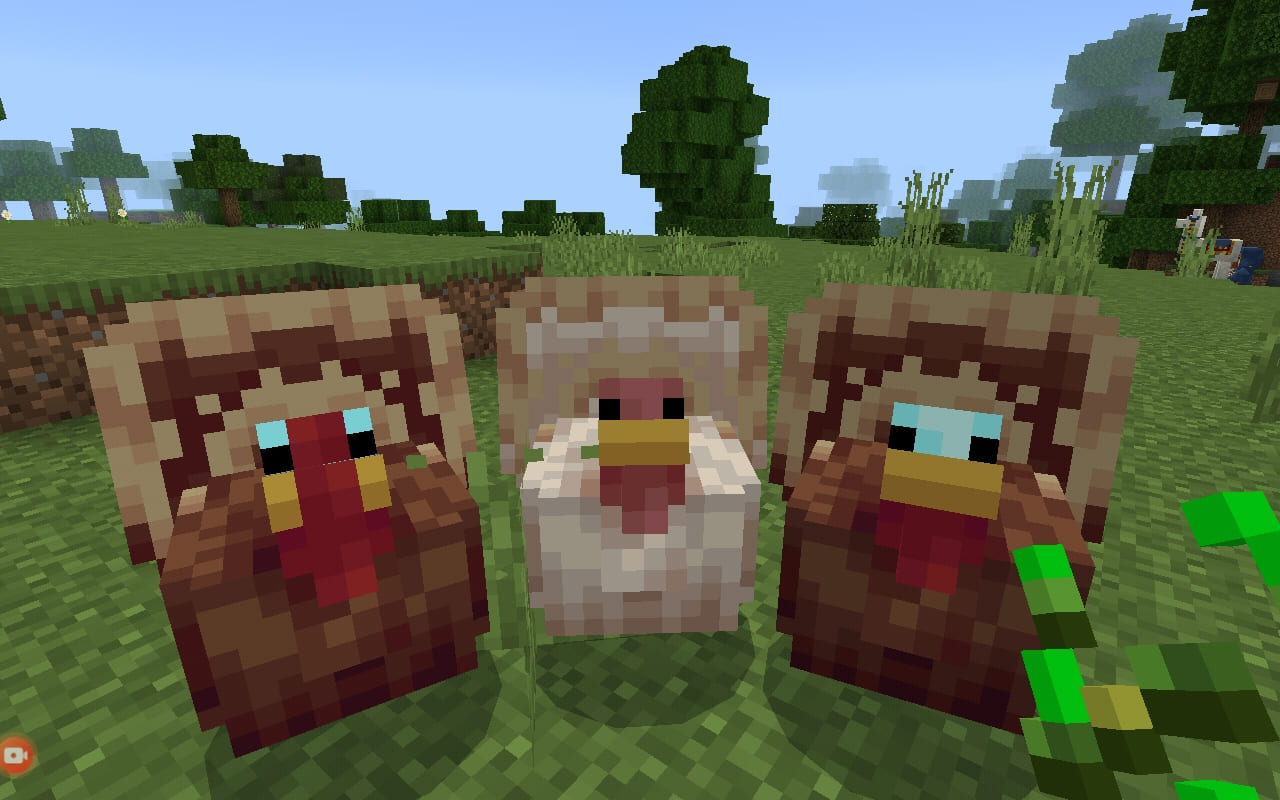 Variants of turkeys in Minecraft