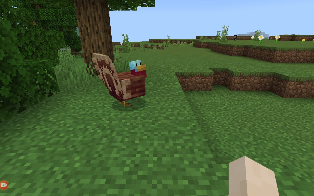 View of a turkey in Minecraft