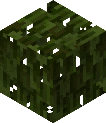 Блоки мангрового дерева
