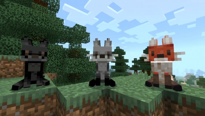 Черная, белая и рыжая лисицы