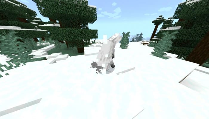 Fox jumps in the snow