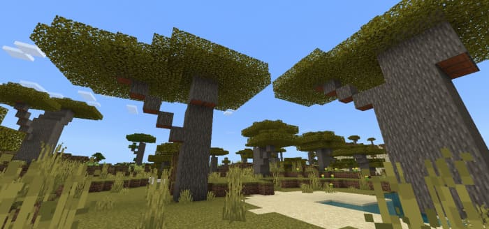 Дерево акации в Minecraft