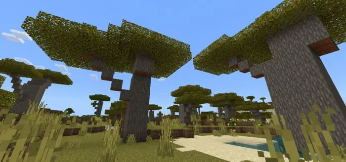 Acacia tree in Minecraft