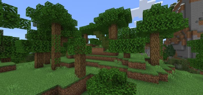 New oak trees