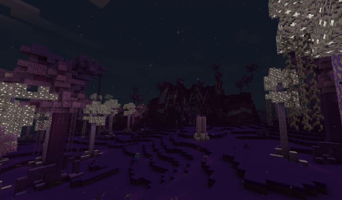 Elf biome at night