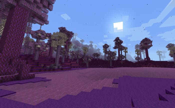 Elven biome of purple blocks