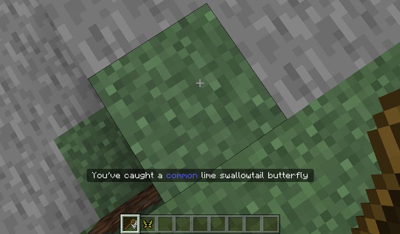Ловля бабочки в Minecraft