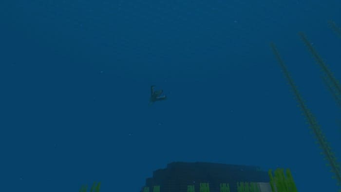 Игрок под водой в океане