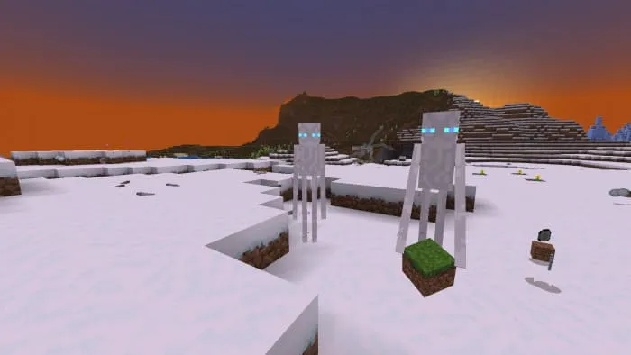 Winter Wanderers in a snowy biome