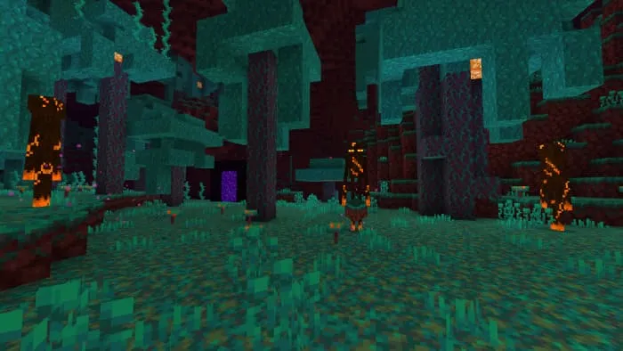 Nether Wanderer in Warped Forest