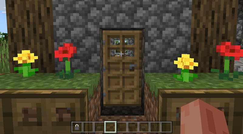 Door to Minecraft