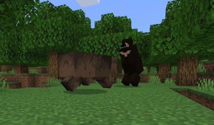 Драка двух медведей