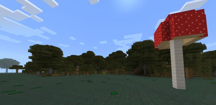 Большие деревья и красный гриб