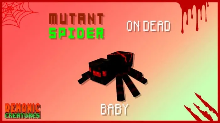 Description of Baby Spider mutant