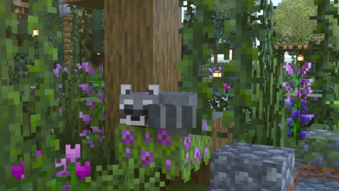 Raccoon sleeps in the game world