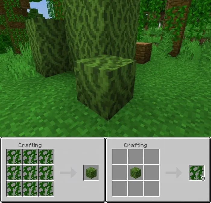 Crafting a block of vines