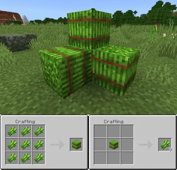 Crafting a bale of sugar cane