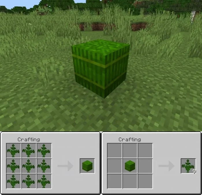 Crafting a fern block