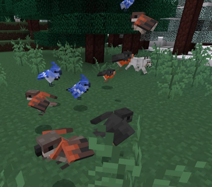 Various birds in Minecraft