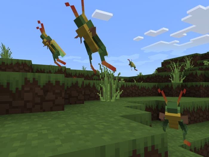 Grasshoppers jump