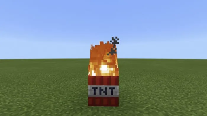 TNT block and fire in Minecraft