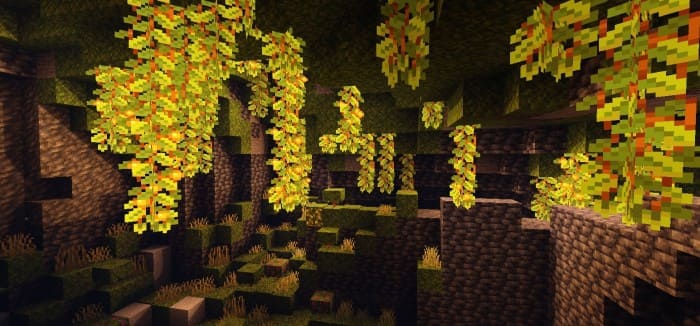 New shadows in lush caves