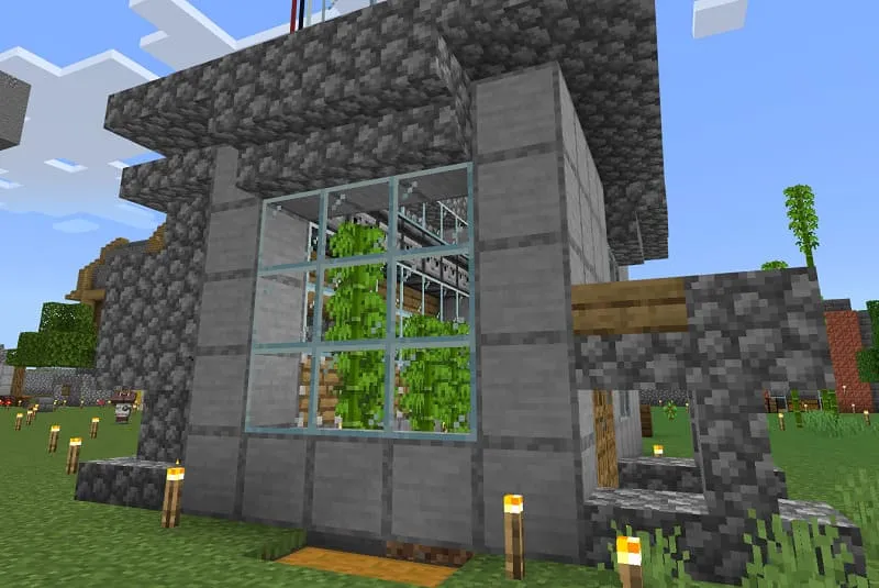 Sugar Canes farm in Minecraft