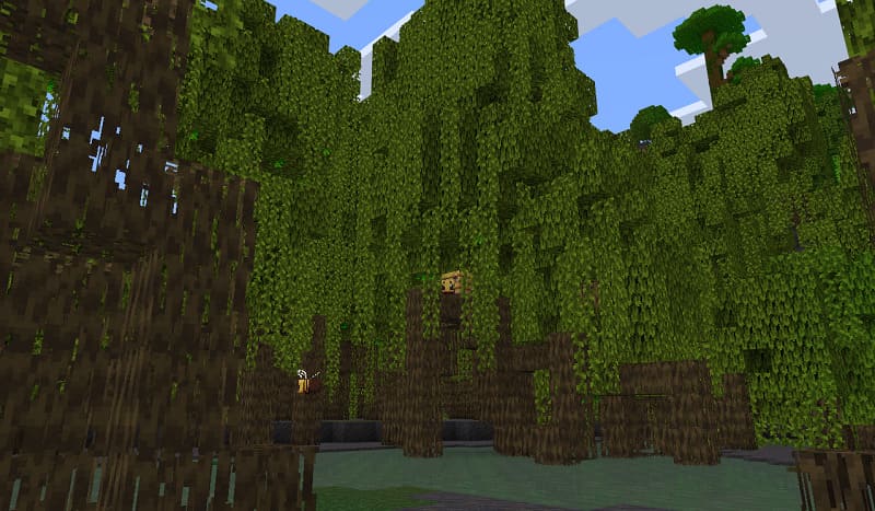 Minecraft seed: Mangrove swamp, jungle and mutated savanna close