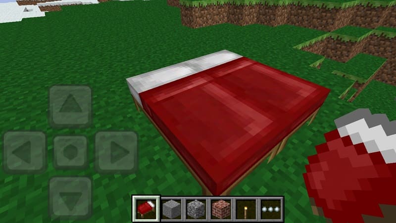 Две красные кровати