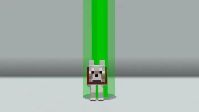 Lighthouse on the dog