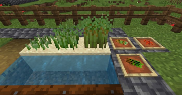 Asparagus in Minecraft