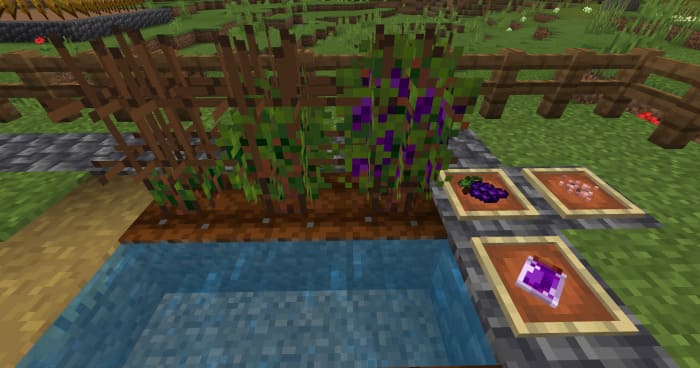 Grapes in Minecraft