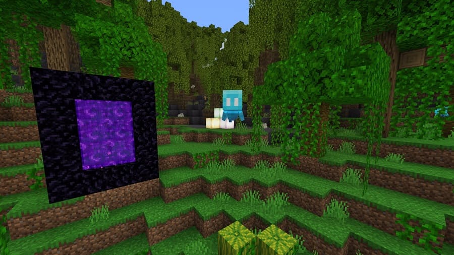 Nether portal and Allay