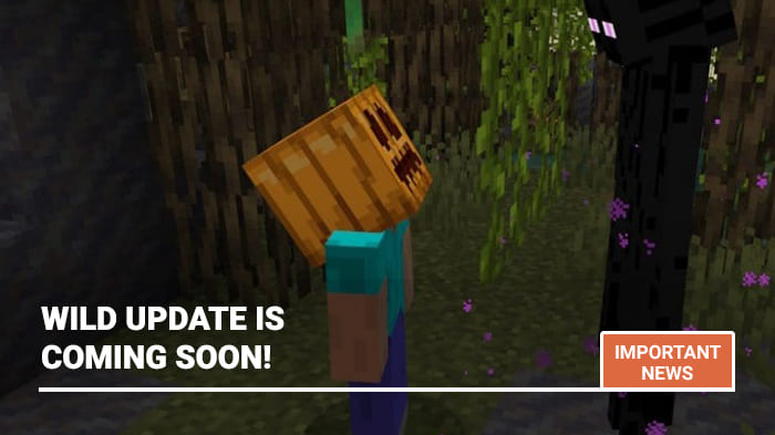 Release 1.19 is coming soon!