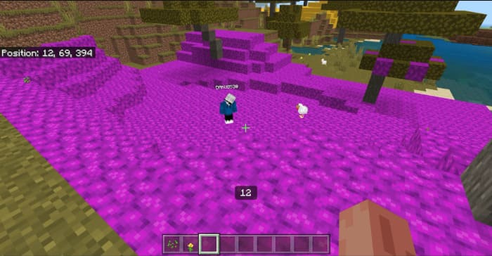 Биом из пурпурных блоков
