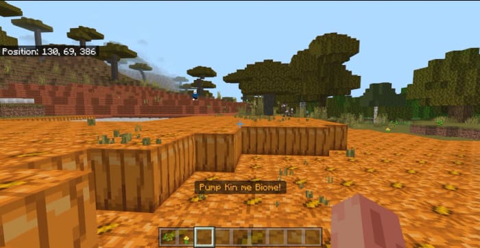 Pumpkin biome