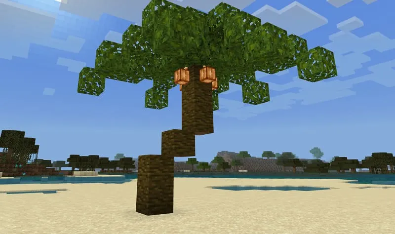 Palm tree in the desert