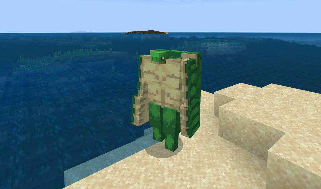 Большая черепаха на пляже